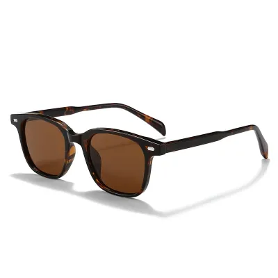 Small Frame Polarized Sunglasses